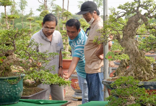 Địa chỉ mai nu Gò Công